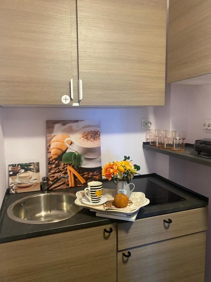 Victoriei Deluxe Suites Букурещ Екстериор снимка