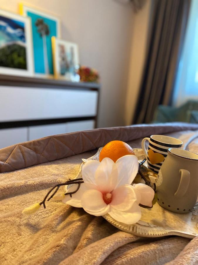 Victoriei Deluxe Suites Букурещ Екстериор снимка
